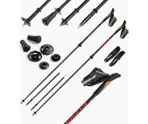 Kije nordic walking Fizan Revolution Pro