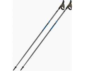 Fizan Runner Blue - lekkie kije do rekreacji