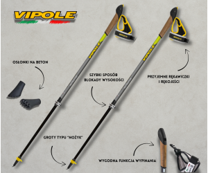 VIPOLE INSTRUCTOR CARBON VARIO QL K.T. - POLECAM