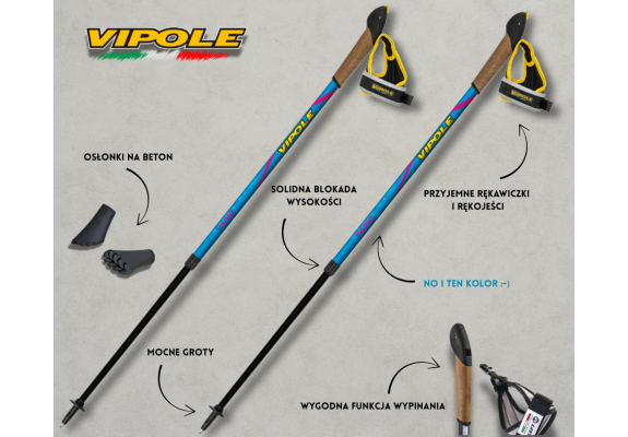 VIPOLE VARIO TOP CLICK (BLUE & GREEN)