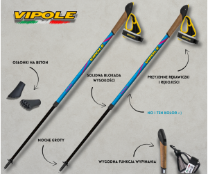 VIPOLE VARIO TOP CLICK (BLUE & GREEN)