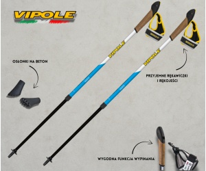 VIPOLE VARIO TOP CLICK (BLUE & GREEN)