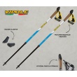 VIPOLE VARIO TOP CLICK (BLUE & GREEN)