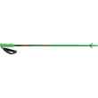 Kije do narciarstwa zjazdowego Leki Rider Green